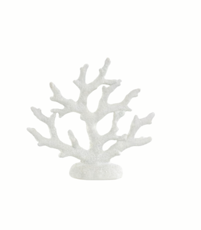 Escultura Coral Branco - Praia