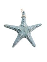 Enfeite estrela do mar azul - Praia