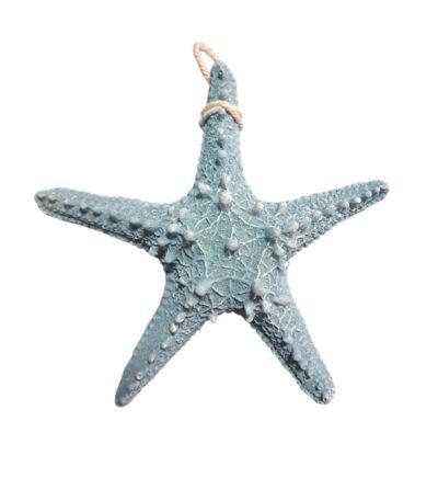 Enfeite estrela do mar azul - Praia