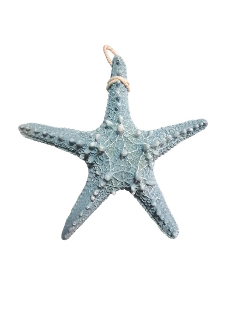 Enfeite estrela do mar azul - Praia