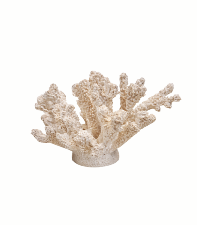 Escultura decorativa poliresina coral branco